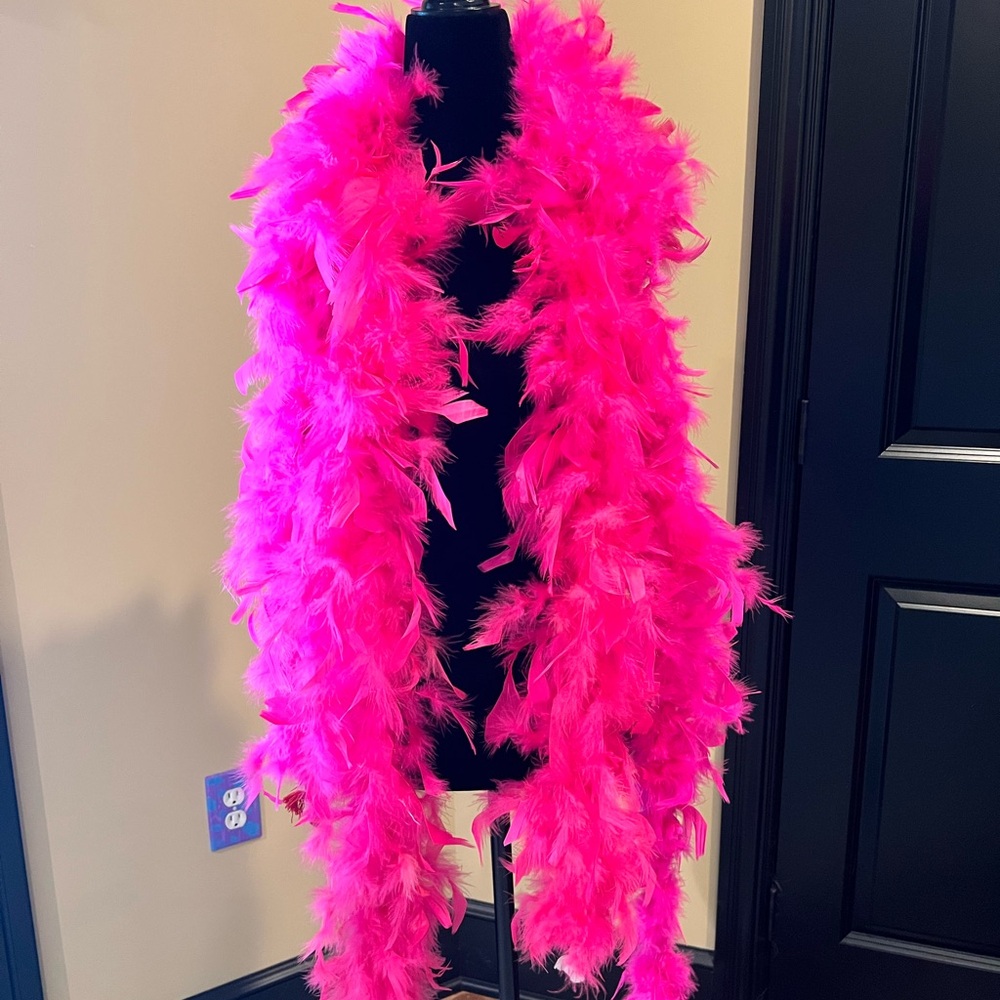 Set of 2 Vibrant Pink Feather Boas